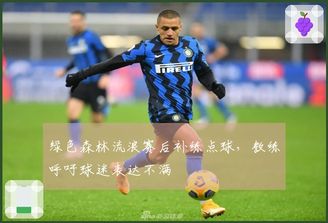 绿色森林流浪赛后补练点球，教练呼吁球迷表达不满