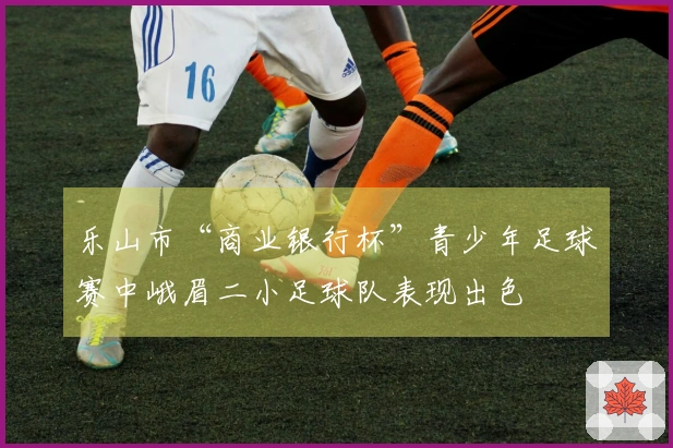 乐山市“商业银行杯”青少年足球赛中峨眉二小足球队表现出色